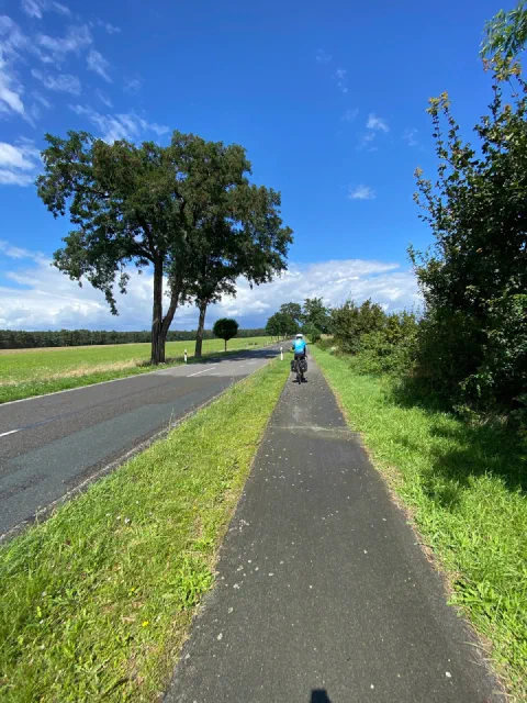 Rider on a cycle path beside a road, a big oak and a blue sky
