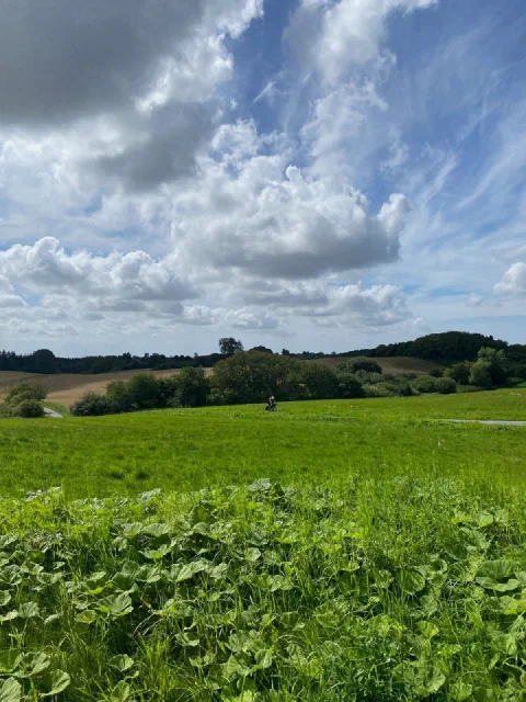 Green hillside meadow under towering clouds