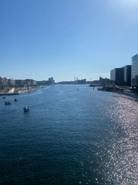 Copenhagen harbour glittering in the afternoon sun, seen from a bridge