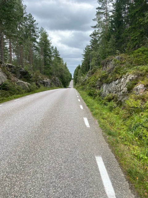 Straight road through rock cuttings and spruce forest