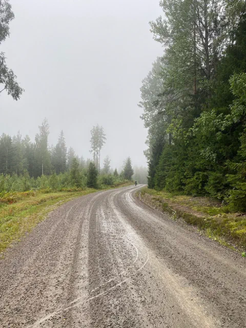 Wet gravel road curving into misty spruce forest, a rider tiny in the distance