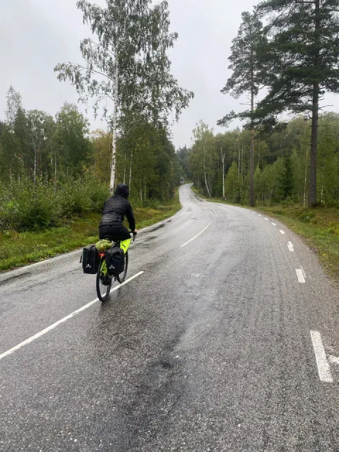 Rider with neon-green panniers on a wet road in the rain, birches and pines
