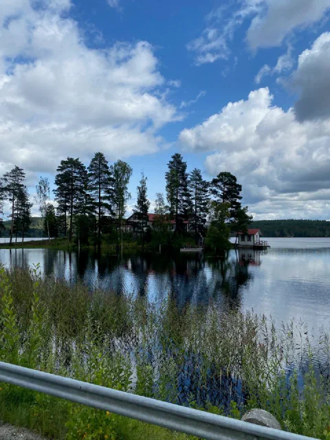 Small pine island with a red house, lupines in front and big clouds above