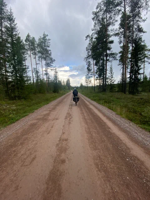 Rider far down a straight gravel road between tall pines