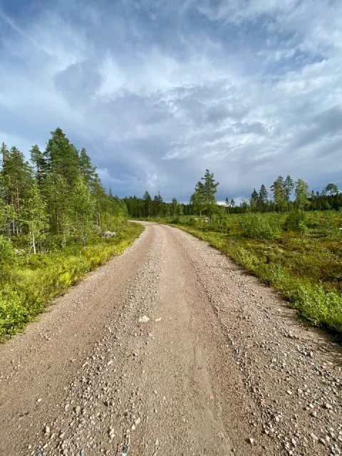 Gravel road curving away into pines under big clouds