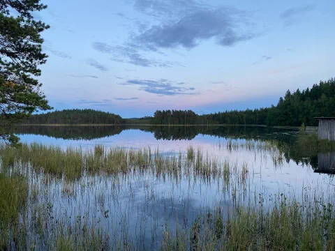 Calm tarn at dusk, reeds in front, a pastel pink and blue sky mirrored in it
