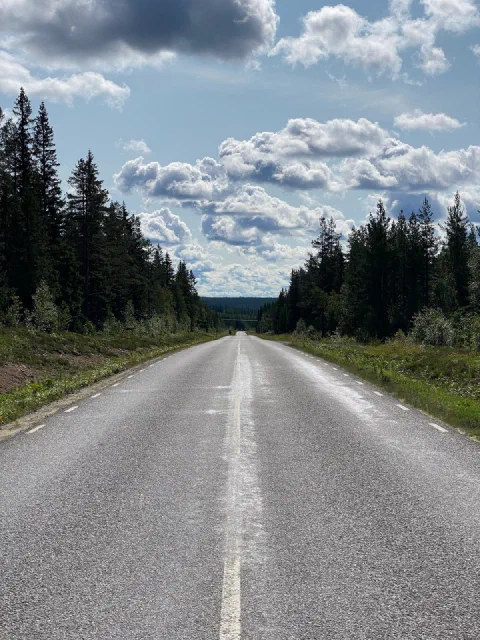 Straight empty road between walls of spruce under big clouds