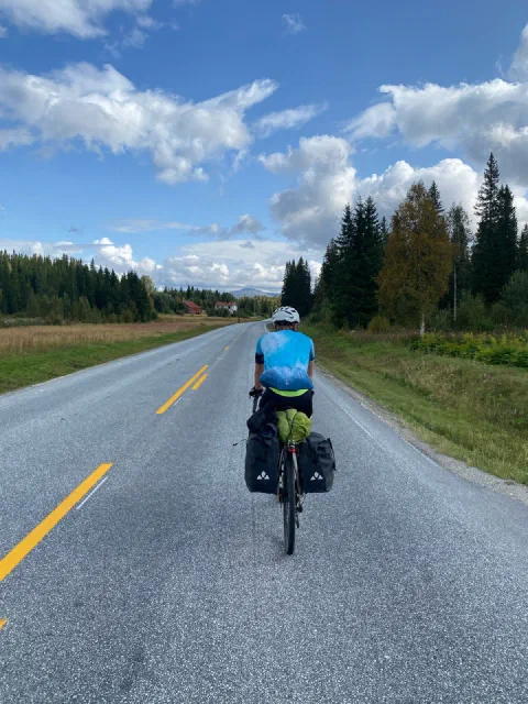 Rider in a blue jersey on a road with a yellow center line, spruce and autumn birches