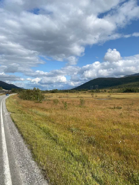 Road beside a golden meadow, mountains under a big sky