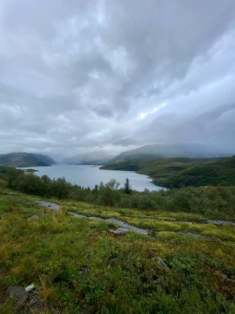 Misty fjord valley seen from a mossy hillside