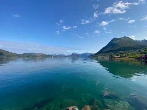Turquoise fjord water over rocks, a green mountain behind