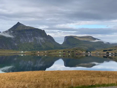 A pointed Lofoten mountain mirrored in a calm fjord, a golden meadow in front